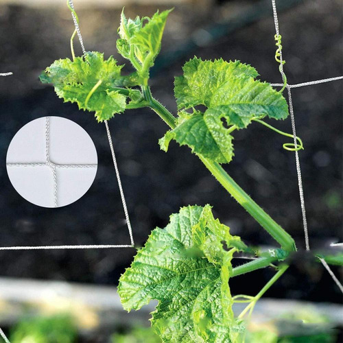 Rede De Treliça De Jardim De 3 Peças Para Tomate /