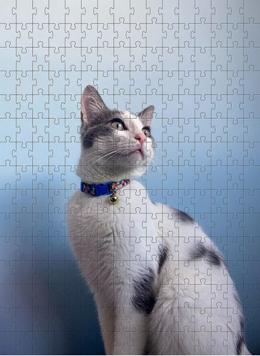 Kit 2 Quebra-cabeças Cognitivo Gatos Para Idosos 48 Pcs
