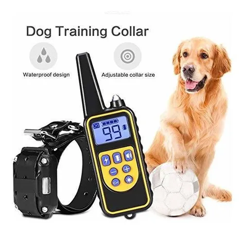 Linnse shock collar online