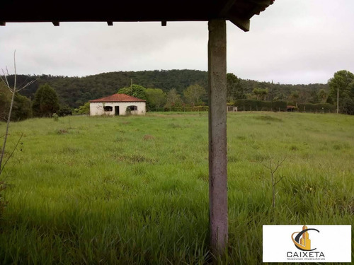 Imagem 9 de 11 de Chacara A Venda Em São Roque 7 Minutos Da Vinicola Góes - 877