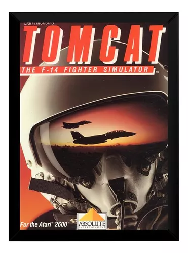 Tomcat: The F-14 Fighter Simulator, Atari Jogos online