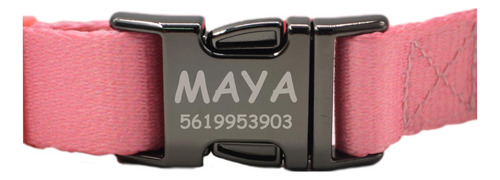 Collar Para Perro Personalizable Con Su Nombre Y Teléfono