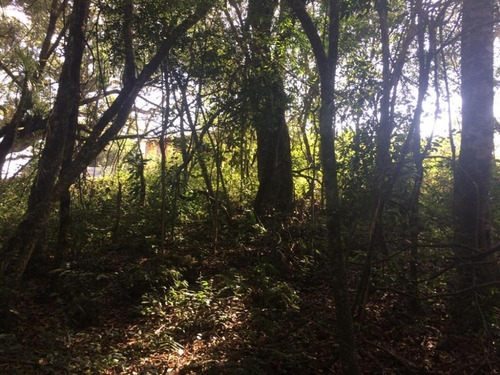 Imagem 9 de 13 de Terreno 1.300m² - Rio De Una - Ibiúna-sp - Tr211127v
