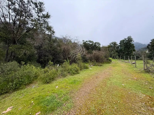 ¡oportunidad! Parcela Semiplana De 5.000 M2 Con Rol Propio