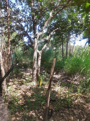 Imagem 2 de 3 de Vendo Uma Mini Chacara Nas Três Vendas À 12km De Luziânia!