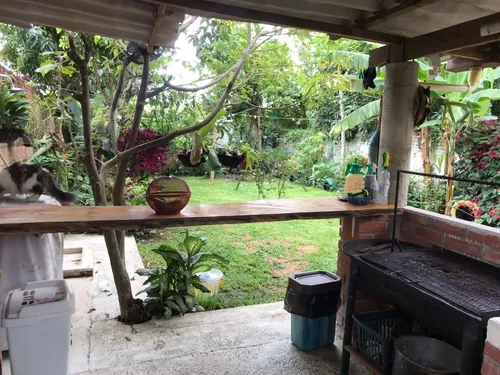 Rozo, 360 M2.