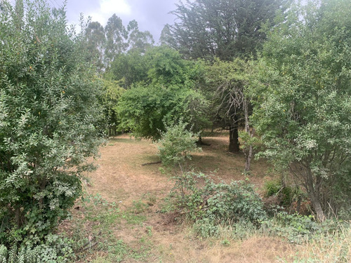 Parcela De 7.500 Mt2 En Sector Puninque