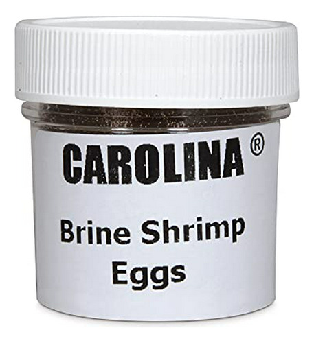 Comida Para Peces - Huevos De Camarón En Salmuera (artemia),