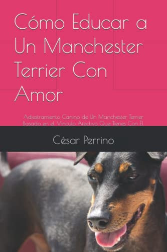 Como Educar A Un Manchester Terrier Con Amor: Adiestramiento