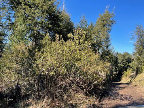 Imagen 12 de 16 de Venta Lote 3183m2 , Bº Calfuco, Villa La Angostura
