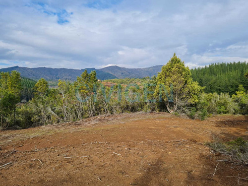 Tranquila Parcela 0,5ha Tranquilidad (92297)