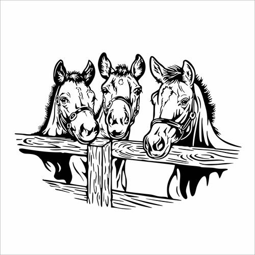 Vinilo Para Pared - Animales - Tres Caballos