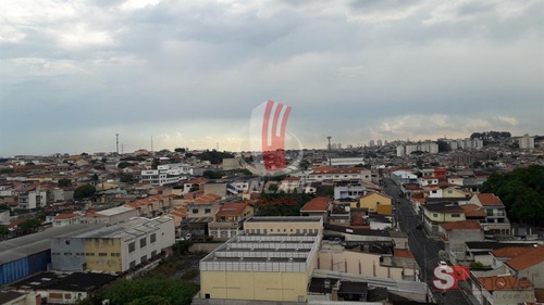 Imagem 5 de 24 de Apartamento Padrão Para Venda No Bairro Vila Antonieta, 3 Dorms, 1 Suíte, 1 Vaga, 61 M - 6071