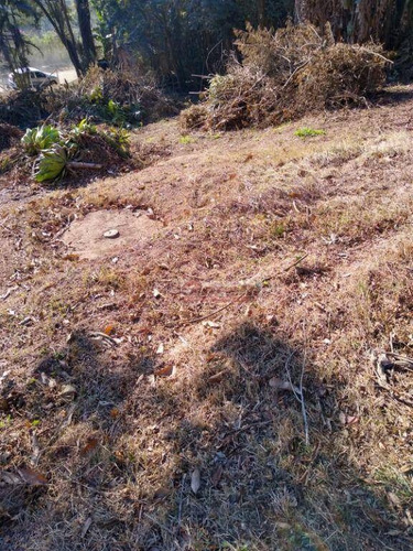 Imagem 10 de 27 de Terreno À Venda, 1097 M² Por R$ 213.000 - Aralú - Santa Isabel/sp - Te0928