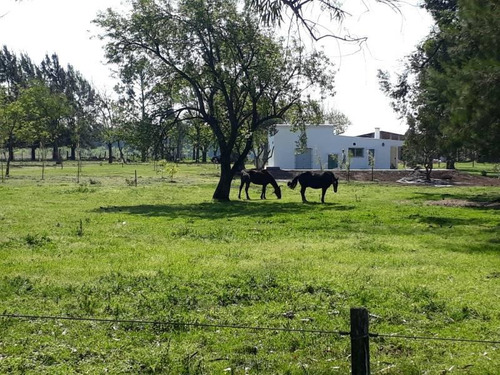 Hermosa Casa De Campo Con Pileta, Arboleda Y Caballos !!