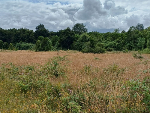 Parcela En La Reserva De Frutillar Naturaleza, Exclusivida