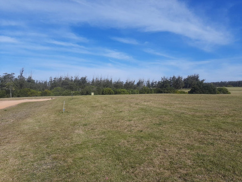 Venta Terreno En Las Garzas Rocha Barrio Privado