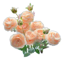 Comprar Faux English Cabbage Rose 4 Branch 12 Tallos Bundle Mixed Bl