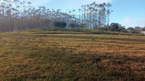 Imagem 12 de 14 de 08 - Terrenos 800 M² Em Arujá, Aceitamos Veiculo