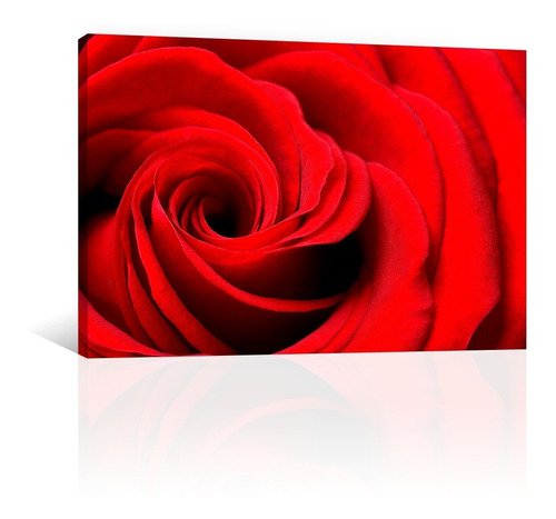 Cuadro Decorativo Canvas Naturaleza Espiral Petalos De Rosa