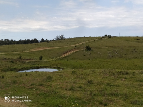 Chacra De 36 Has Ubicada En El Campanero, Lavalleja