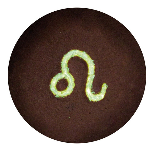 Aplicación Maquillaje Fluorescente Signo Del Zodiaco Leo