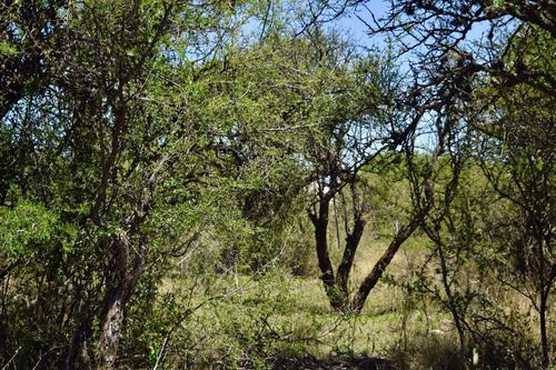 Lote De 1000m2 En Barrio ¨campo De Maie¨