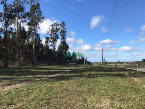 Imagen 13 de 14 de Chacras De 3 Has Sobre Ruta 11 - Balnearios Parque Del Plata