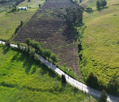 ¡espectacular Finca En Sibaté! 14 Fanegadas. Vía Pavimentada