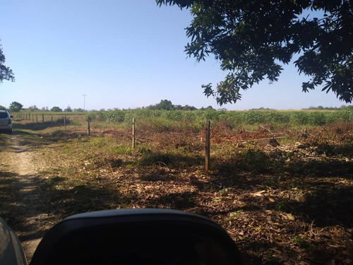 Imagen 6 de 13 de Finca En Barinas Carretera Vieja A 20 Min..de Barinas