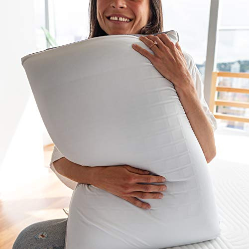 Pillow Perfect Cloud Dual Option Cooling Gel Memory Foam