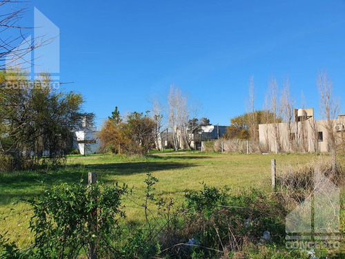 Imagen 11 de 11 de Terreno - Villa California