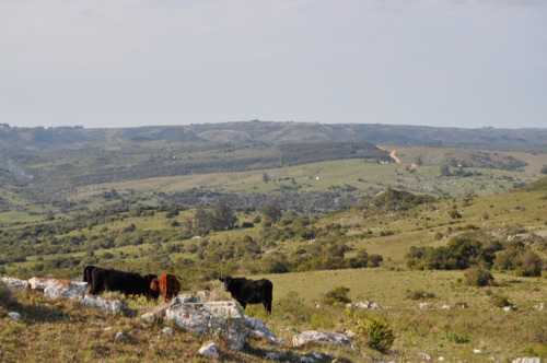 Chacras En Pueblo Edén