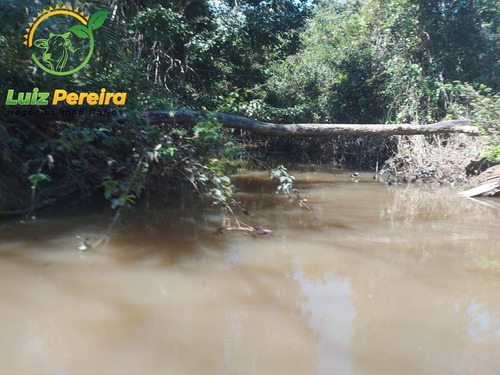 Imagem 3 de 15 de Fazenda À Venda Em Vale Do Araguaia - T0 - 20% De Reserva (dupla Aptidão) - 1738