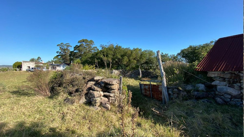 Imagen 20 de 30 de Se Vende Campo De 77 Has En Maldonado. A Pocos Km De Aiguá En Zona De Ruta 39. Ubicación Privilegiada!