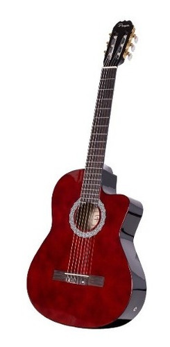 Guitarra Clasica Electrocriolla Parquer Master C Corte Funda