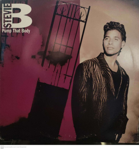 Disco Vinilo Pump That Body Stevie B Maxi Usa Todelec