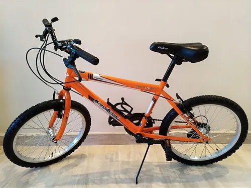 Bicicleta kamikaze rin 20 clearance
