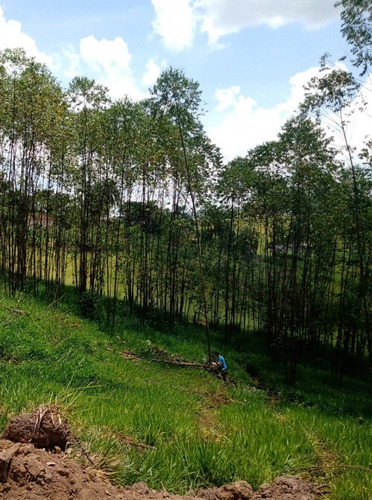 Imagem 1 de 14 de E88- Terreno Em Área Rural Com Ótima Topografia