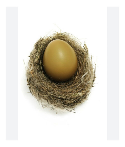 Huevos Fertiles De Faisanes Mix Distintos Tipos