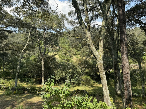 Vendo Terreno Boscoso De 11 Hectáreas En Jilótepec