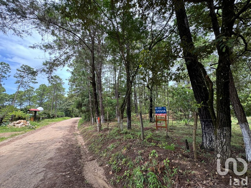 Venta Terreno 0 Ambiente Chijiltec (san Isidro)