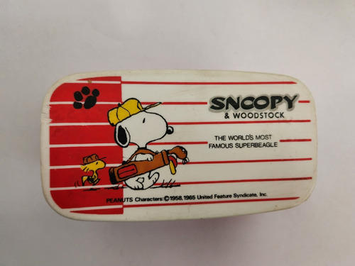 Caja De Plastico De Snoopy  & Woodstock (una)