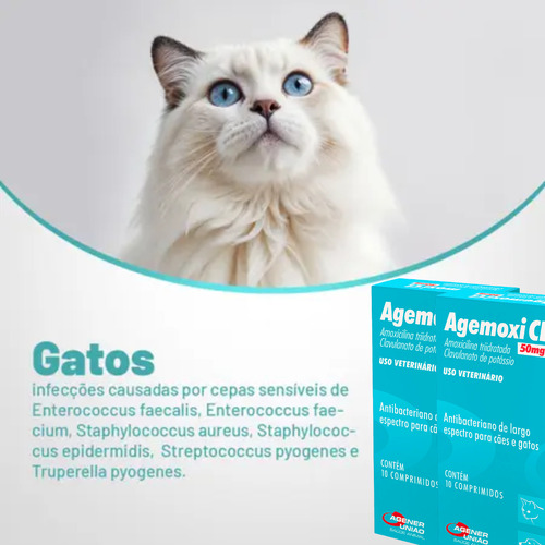 Kit 2 Agemoxi Cl 50mg 20 Comprimidos Antibiótico Cães/gatos