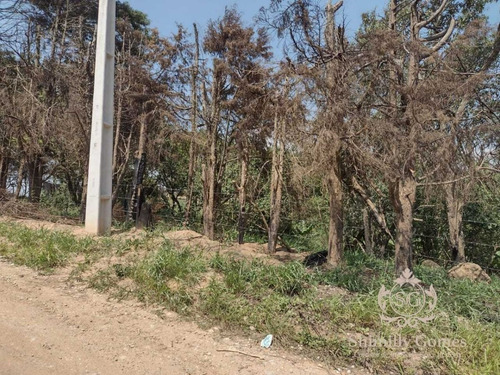 Imagem 5 de 11 de 2.100 M², Belíssimo Terreno Próximo A Rodovia !!