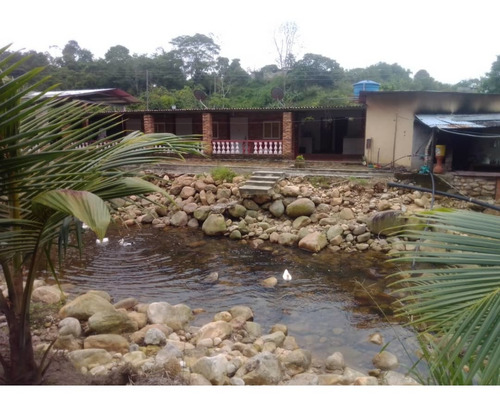 Imagen 19 de 23 de Cf. Se Vende Finca En La Fría, Cerca De La Termoeléctrica