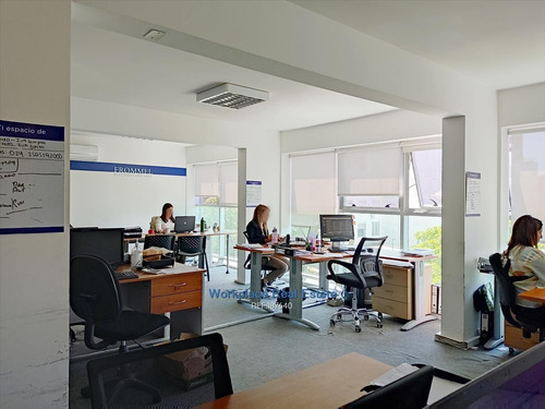 Imagen 12 de 20 de Alquiler O Venta. Oficina - A Metros De Wtc - Buceo Cw187640