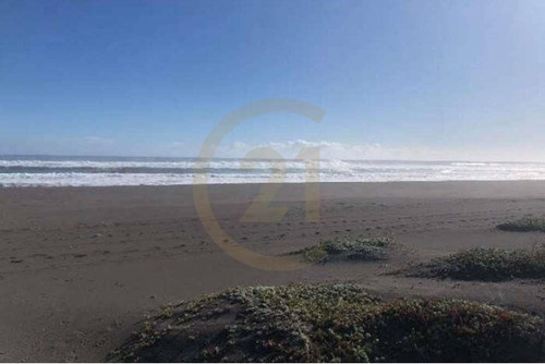 Gran Terreno Primera Línea Punta De Lobos