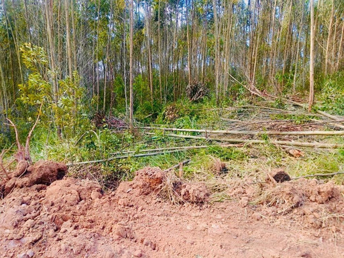 Imagem 29 de 29 de 06-terreno A Venda Com 1000m No Interior !!!
