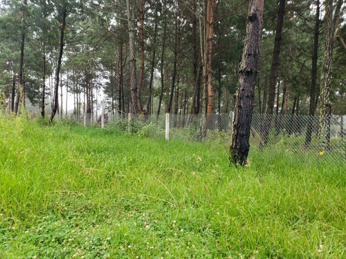 Imagen 8 de 9 de Vendo Cabaña En Zacatlan, Puebla